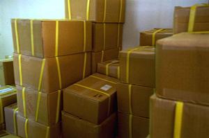 サイズがぴったりの剪定ばさみの購入をお考えなら