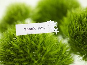 折込チラシ印刷に強いチラシレンジャー